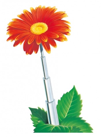 Blume